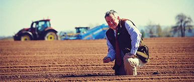 Yield Mapping: Work Smarter, Not Harder
